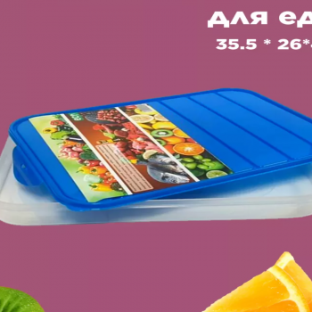 Контейнер для хранения любых пищевых продуктов 35,5*26*4см