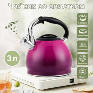 Чайник из нержавеющей стали  EB-622