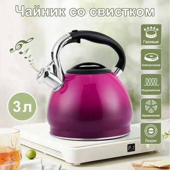 Чайник из нержавеющей стали  EB-622