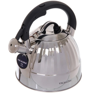 Чайник из нержавеющей стали VICALINA VL-9281