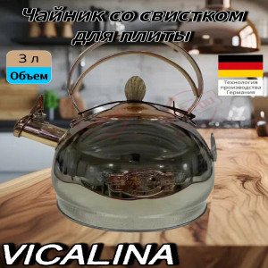 Чайник из нержавеющей стали VICALINA VL-9265