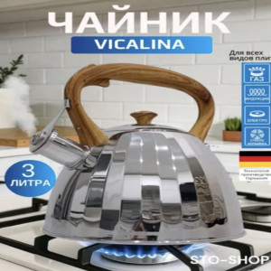 VL-9258 Чайник со свистком