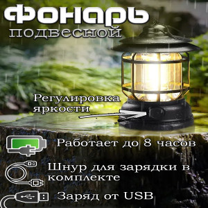 DL-600 Фонарь подвесной (черный)